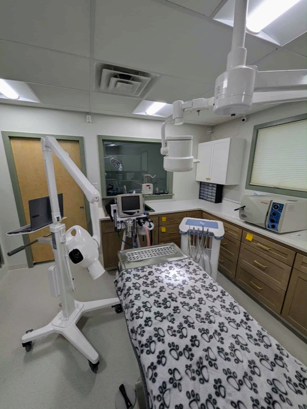 Dentistry Suite