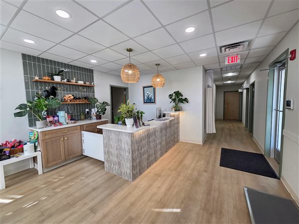 Reception Area