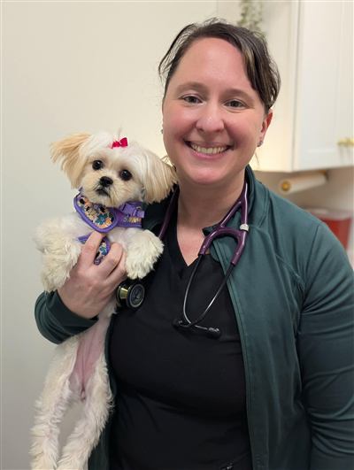 Dr. DeFulio